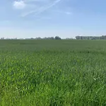 In Near The Appartement Nieuport