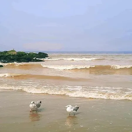 Panorama C2 With Location * Nieuwpoort