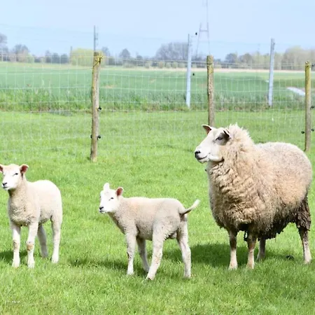 In Near The Apartamento *