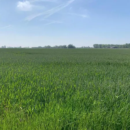 In Near The Apartamento Nieuwpoort