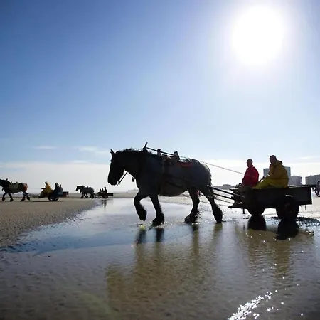 Apartamento In Near The Nieuwpoort