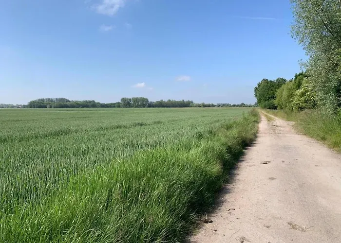 In Near The 아파트 니우포르트