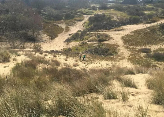 In Near The 니우포르트