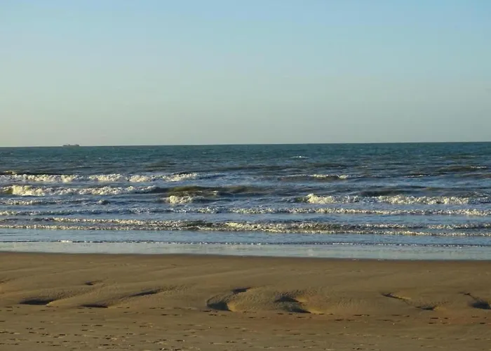 In Near The 아파트