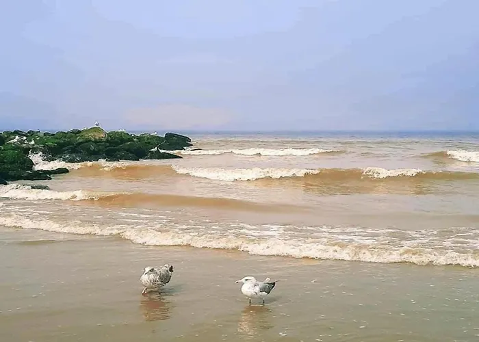 In Near The * 니우포르트