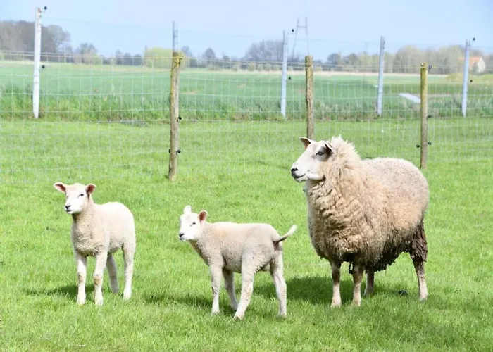 In Near The 아파트 *