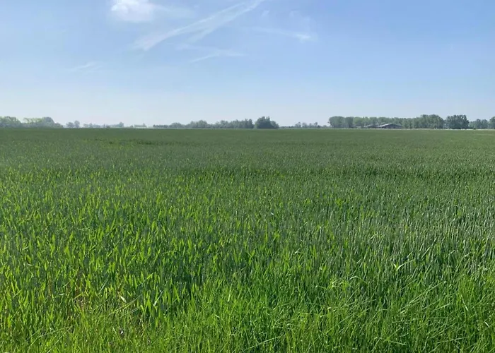 In Near The 아파트 니우포르트