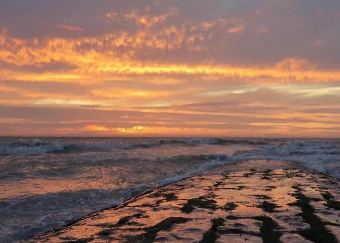 아파트 In Near The 니우포르트