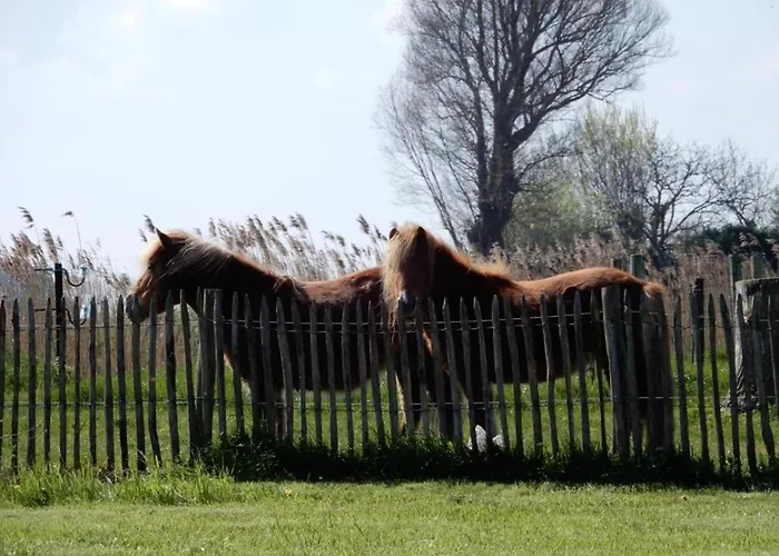 아파트 In Near The 니우포르트