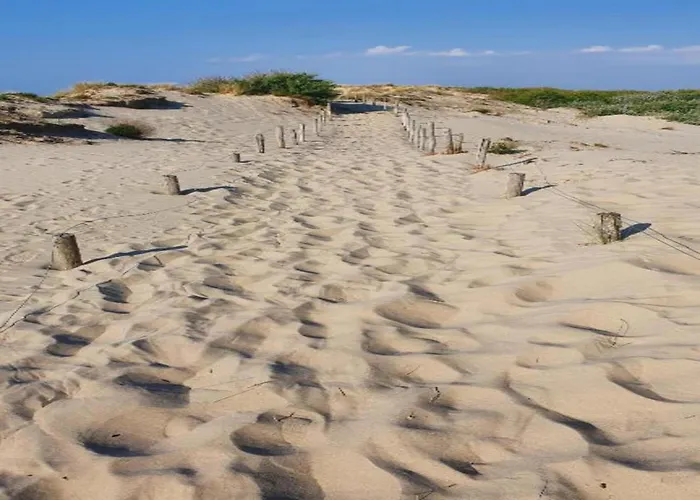 In Near The * 니우포르트